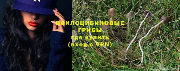 гидра Балахна