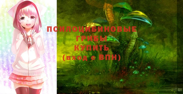 гидра Балахна