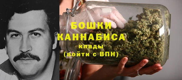 гидра Балахна